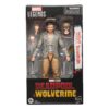 x_hasg1662_h5.jpg Deadpool & Wolverine Marvel Legends Action Figure Headpool with Marvel's Logan